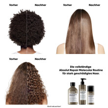 LOr&eacute;al Professionnel Serie Expert Absolut Repair Molecular Duo Geschenkeset